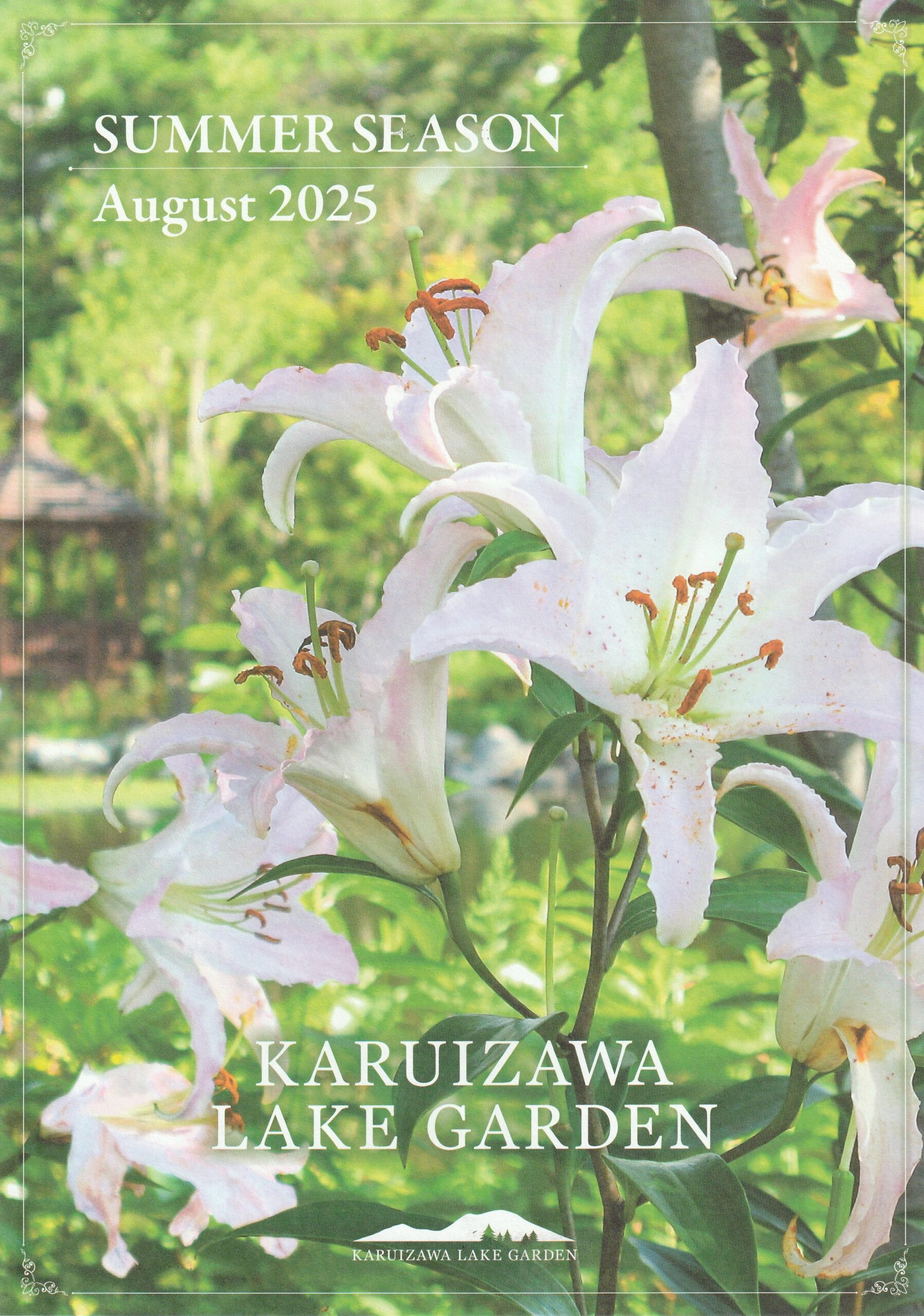 バラの水彩画　軽井沢レイクガーデン　内藤マリナ 軽井沢レイクガーデン】Rose Season 2025 Event｜イベント掲示板